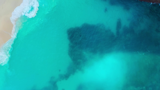 Animations Video, Underwater, Fish, Sea, Ocean, Reef