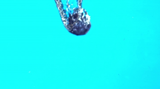 Any Video Converter, Berry, Coelenterate, Invertebrate, Bangle, Fruit