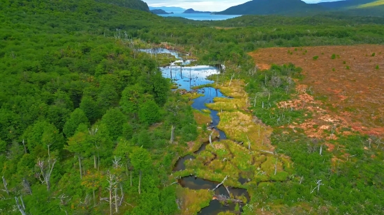 Copyright Free Video Cartoon, Landscape, Tree, Forest, Mountain, Mountains