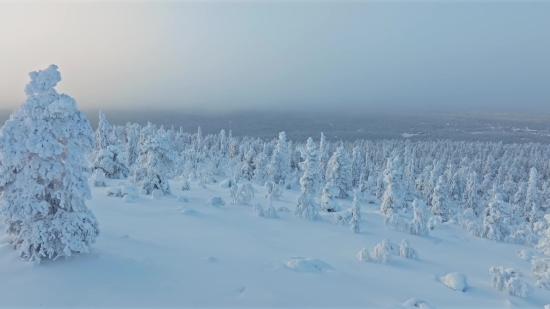 Copyright Right Free Video, Ice, Crystal, Solid, Snow, Cold