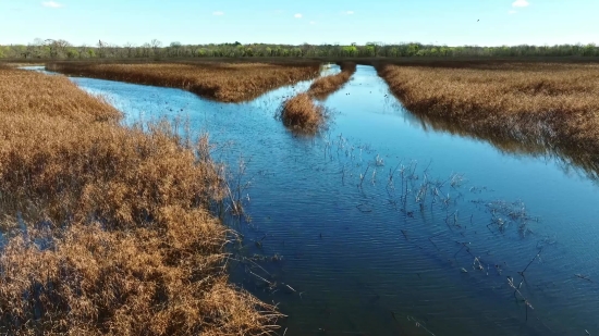 Creative Commons License Videos Free Download, Lake, Landscape, River, Water, Channel