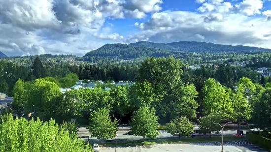 Download A Twitch Clip, Tree, Landscape, Sky, Woody Plant, Summer