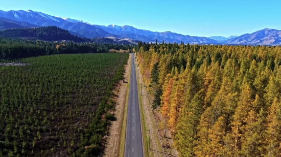 Download Call Background Video, Landscape, Mountain, Track, Sky, Tree