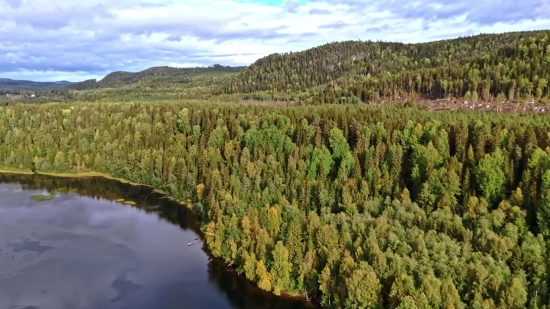 Download Istock Free, Landscape, Tree, Syrup, Forest, Lake