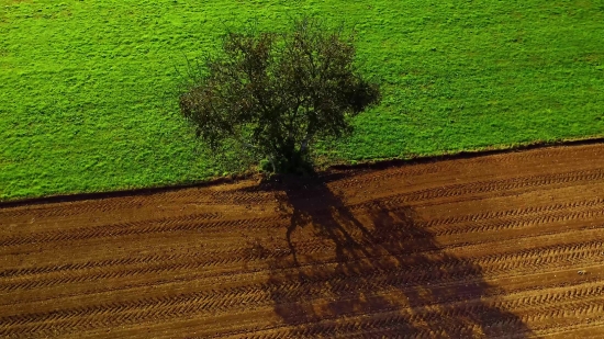 Explosion Stock Footage, Landscape, Tree, Field, Grass, Sprinkler