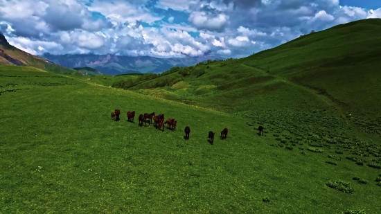 Free Car Stock Videos, Highland, Mountain, Landscape, Grass, Meadow