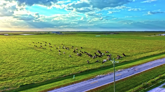 Free Couple Stock Footage Nature, Steppe, Plain, Land, Landscape, Field