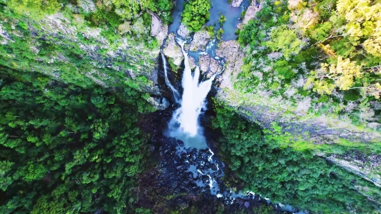 Free Powerpoint Backgrounds, Tree, Woody Plant, River, Forest, Waterfall