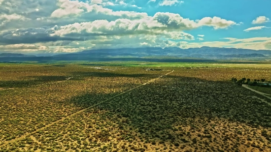 Free Stock Videos 4k Footage & Hd Video Clips, Field Soybean, Soy, Field, Bean, Meadow