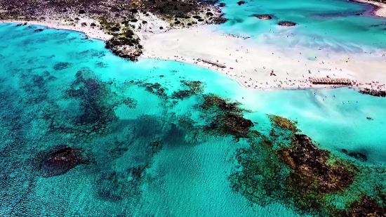 Free Video Loops Backgrounds, Beach, Coral Reef, Ocean, Reef, Sea