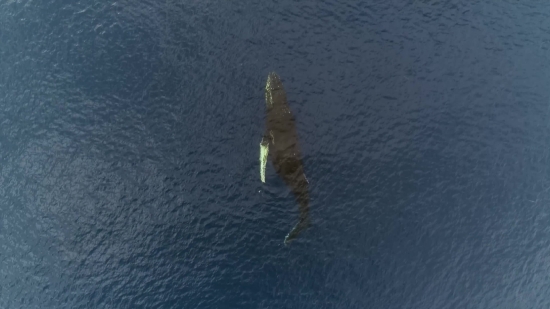 Hd9 Video Songs Download, Sea, Ocean, Water, Beach, Sky
