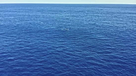 Licence Free Pictures, Sea, Ocean, Body Of Water, Water, Sky