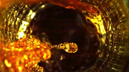 License Free Pictures, Flatworm, Worm, Invertebrate, Animal, Glass