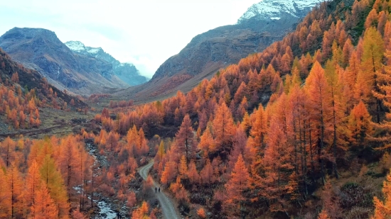 Of Free Videos, Canyon, Valley, Ravine, Mountain, Landscape