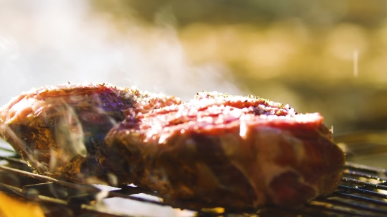 Royalty Stock Footage, Food, Meat, Friedcake, Meal, Grilled