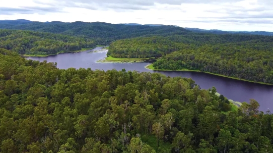 Savage Stock Footage, Tree, Landscape, Water, Lake, Forest