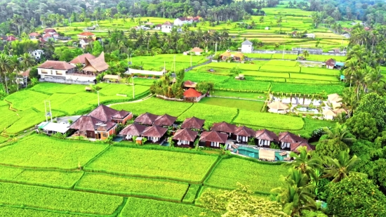 Shilpi Raj Mms Clip, Farmer, Landscape, Football Stadium, Field, Grass