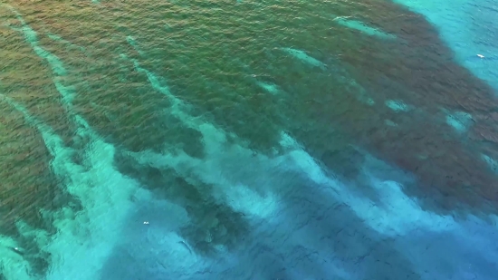 Sky Background 4k Video Download, Coral Reef, Reef, Water, Ocean, Sea