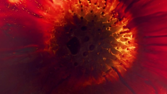 Vaporwave Stock Footage, Fire, Light, Flame, Wallpaper, Heat