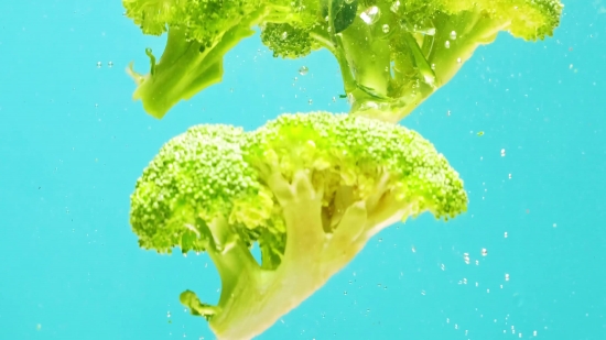 Videobuddy App Download, Broccoli, Vegetable, Produce, Food, Healthy