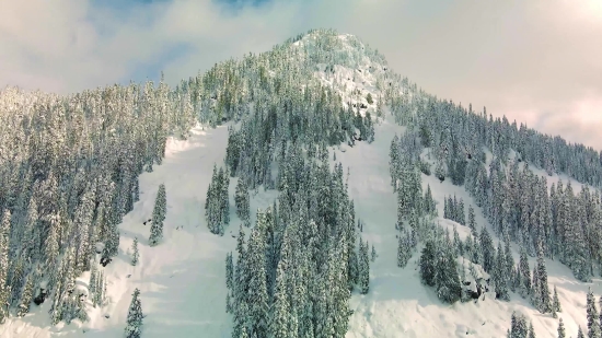 Videos For Youtube No Copyright, Ice, Snow, Tree, Forest, Winter