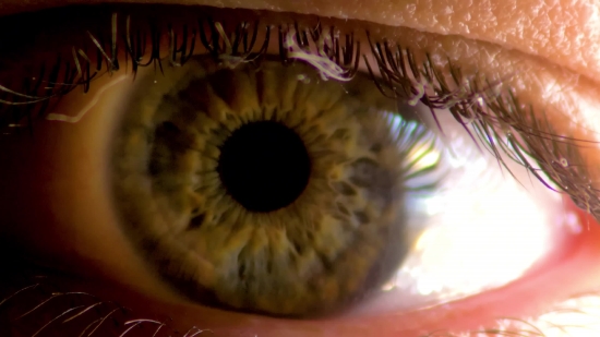 Videvo Free Green Screen, Kiwi, Eye, Close, Eyebrow, Skin