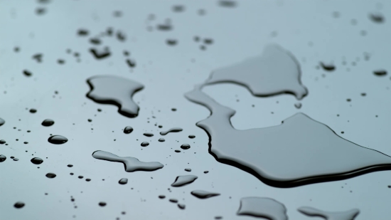 Wolf Stock Footage Free, Jigsaw Puzzle, Puzzle, Game, Jigsaw, Piece