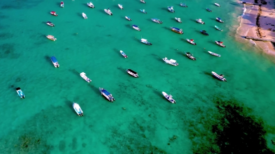 Youtube Copyright Free Movies, Water, Sea, Sand, Ocean, Fish
