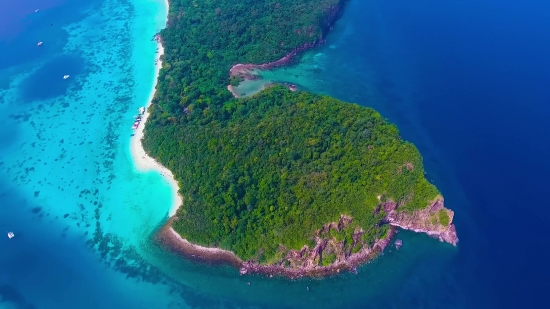 Youtube Video Short Clip Download, Reef, Sea, Underwater, Water, Ocean