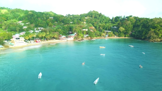 Youtube Without Copyright, Beach, Sandbar, Water, Sea, Ocean