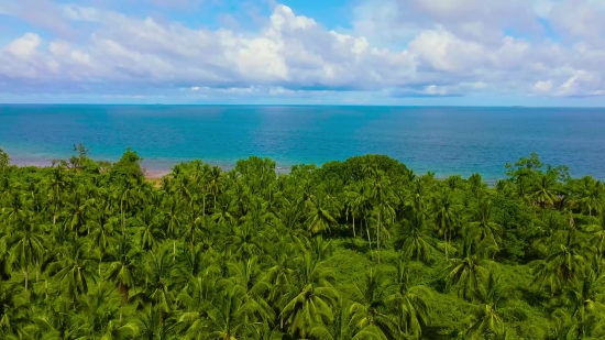 Zoom Christmas Background Video Free Download, Ocean, Beach, Sea, Sand, Coast